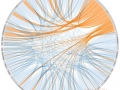 Text analytics co-occurence visualization.